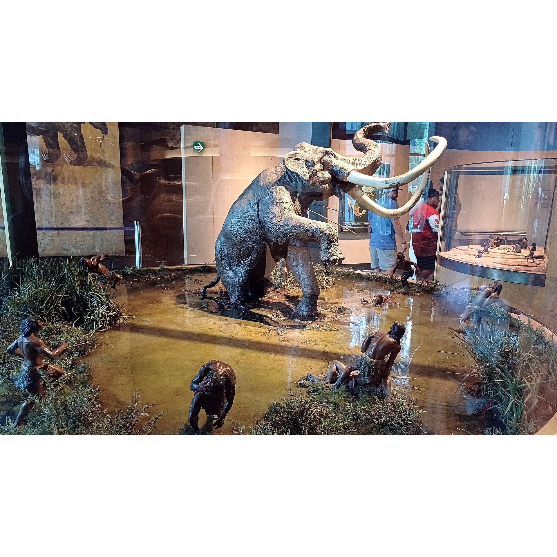 Researchers Confirmed Early Americans Survived by Hunting Earth's Largest Animals episode artwork