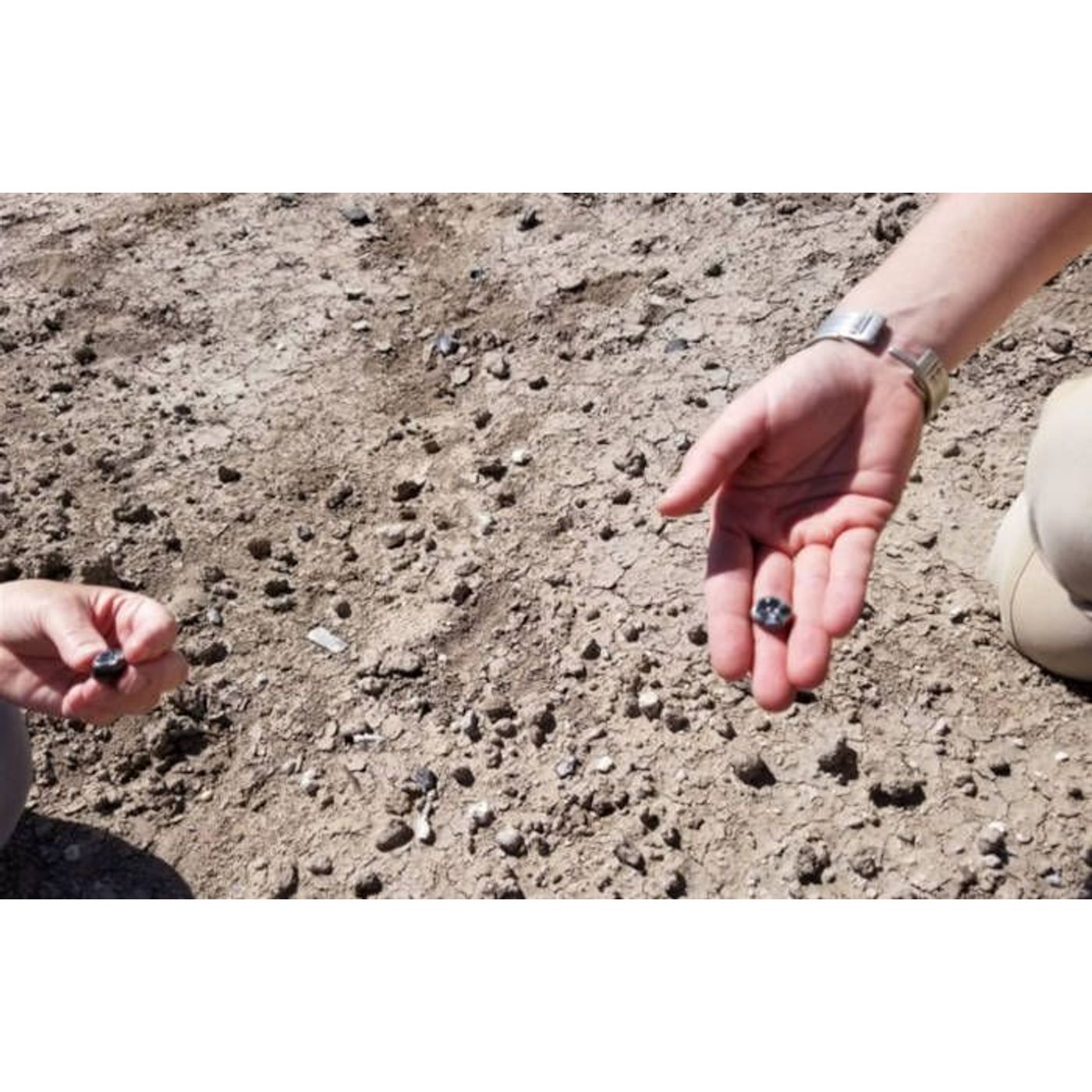 Scientists Discover New Human Ancestor Species in Ethiopia | Ancient Origins