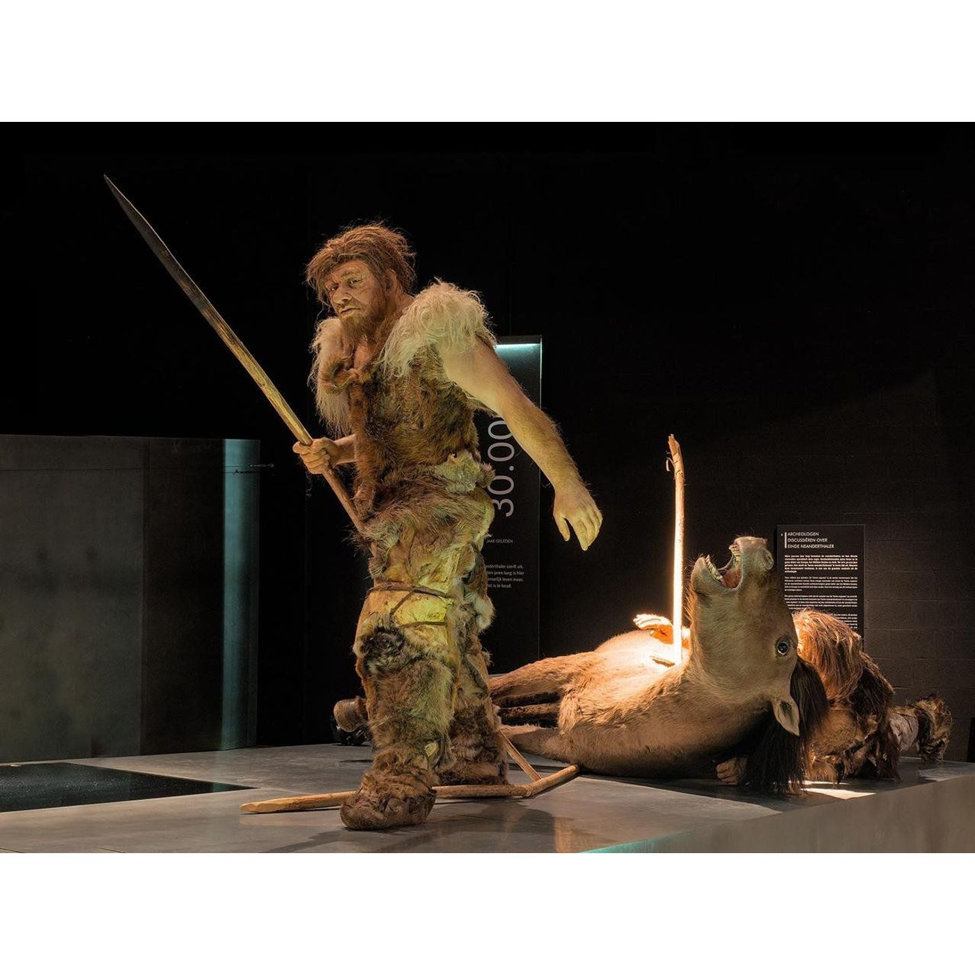 Ancient DNA Reveals Last Neanderthals' Social Networks and Genetic Diversity in Late Europe episode artwork