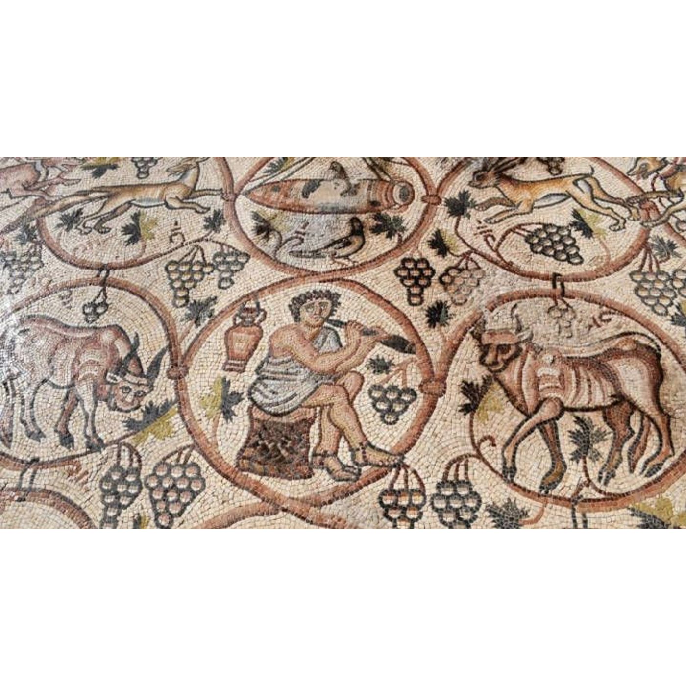 Magnificent 1,600-Year-Old Byzantine Mosaic Unveiled in Israel's Western Negev | Ancient Origins