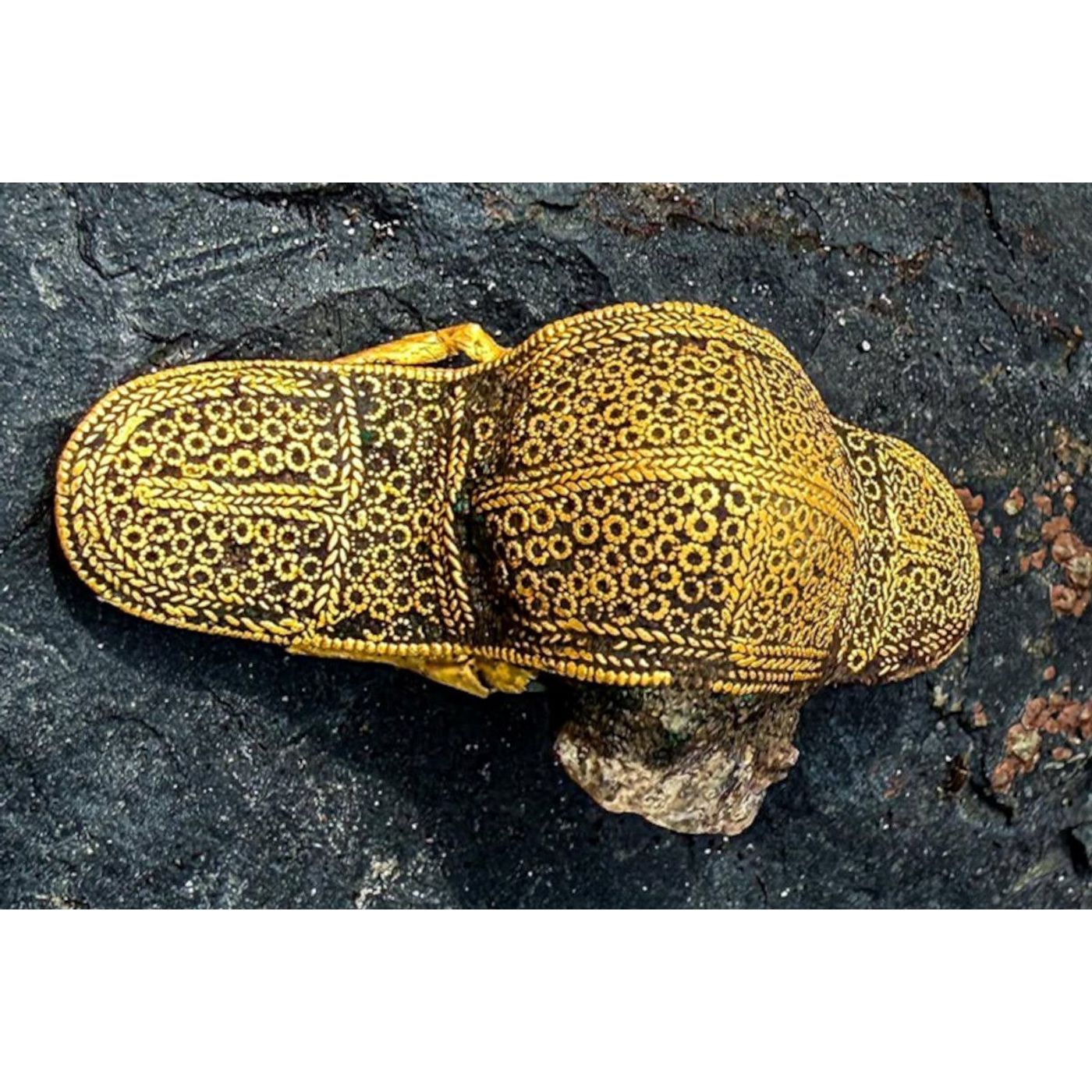 Elaborately Crafted Gold Brooch Uncovered in Denmark | Ancient Origins episode artwork