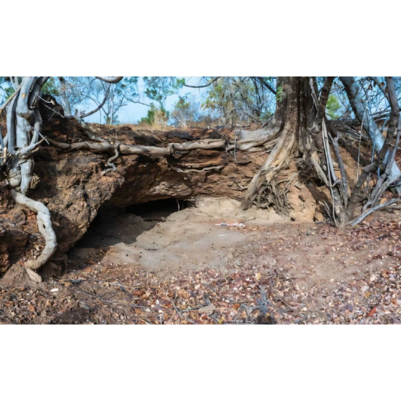 2,400-Year-Old Senegal Iron Workshop Reveals Ancient Techniques | Ancient Origins episode artwork