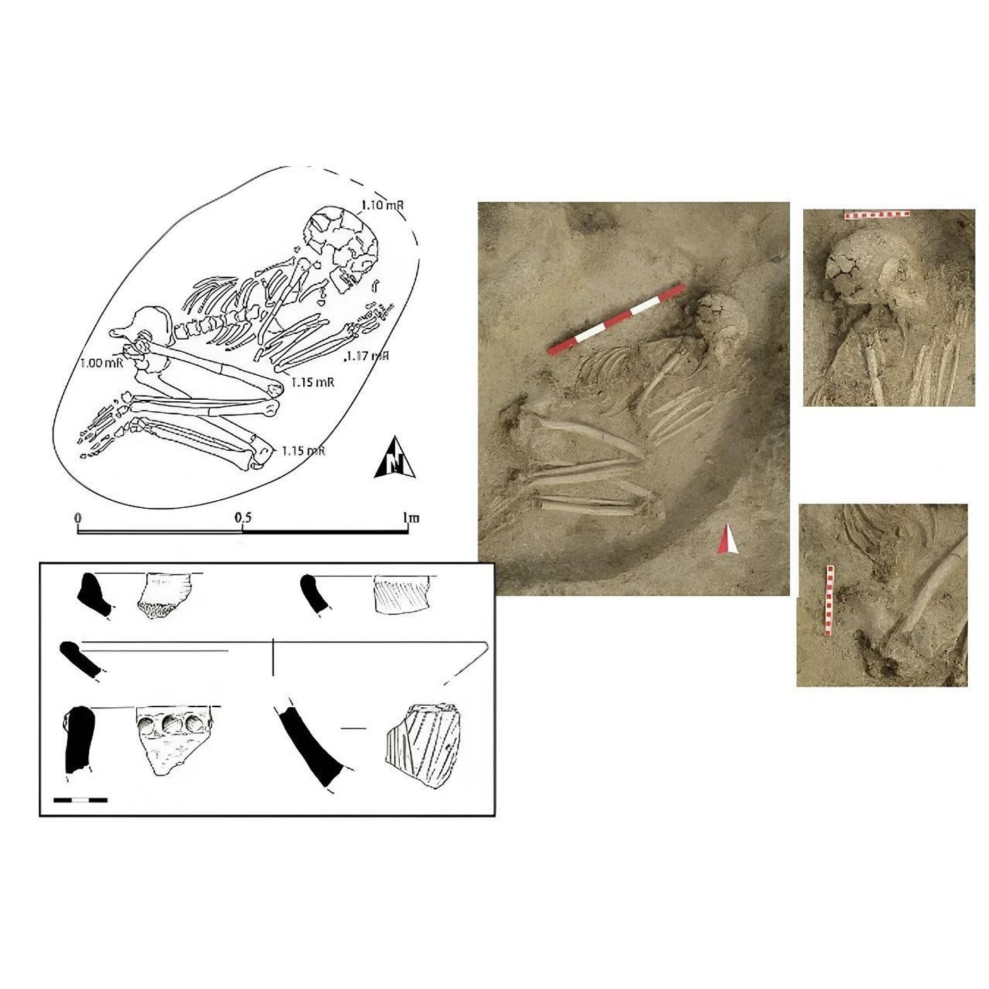 A 6,200-Year-Old Skull Proves a Teenage Boy Survived a Lion Attack in Prehistoric Bulgaria episode artwork