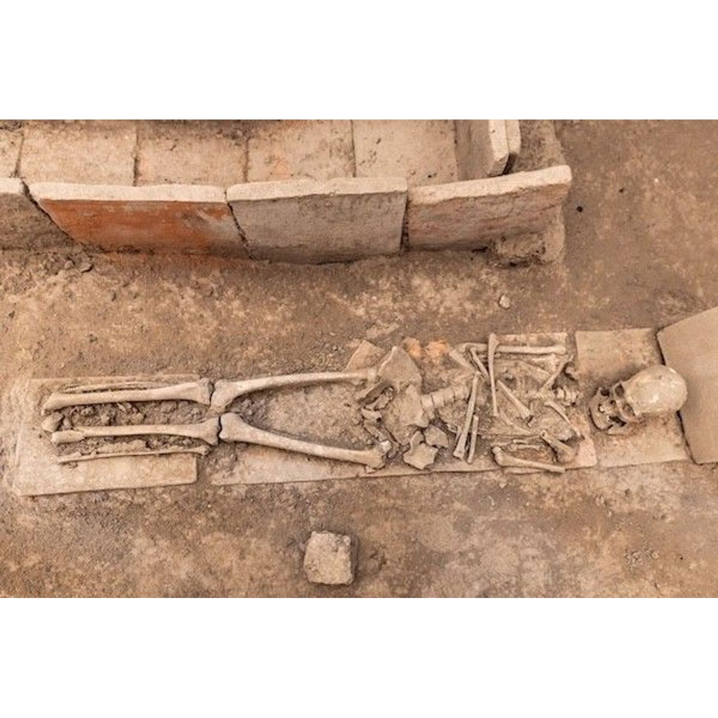 New Research Details 10,000 Years of Dietary Inequality in Europe episode artwork