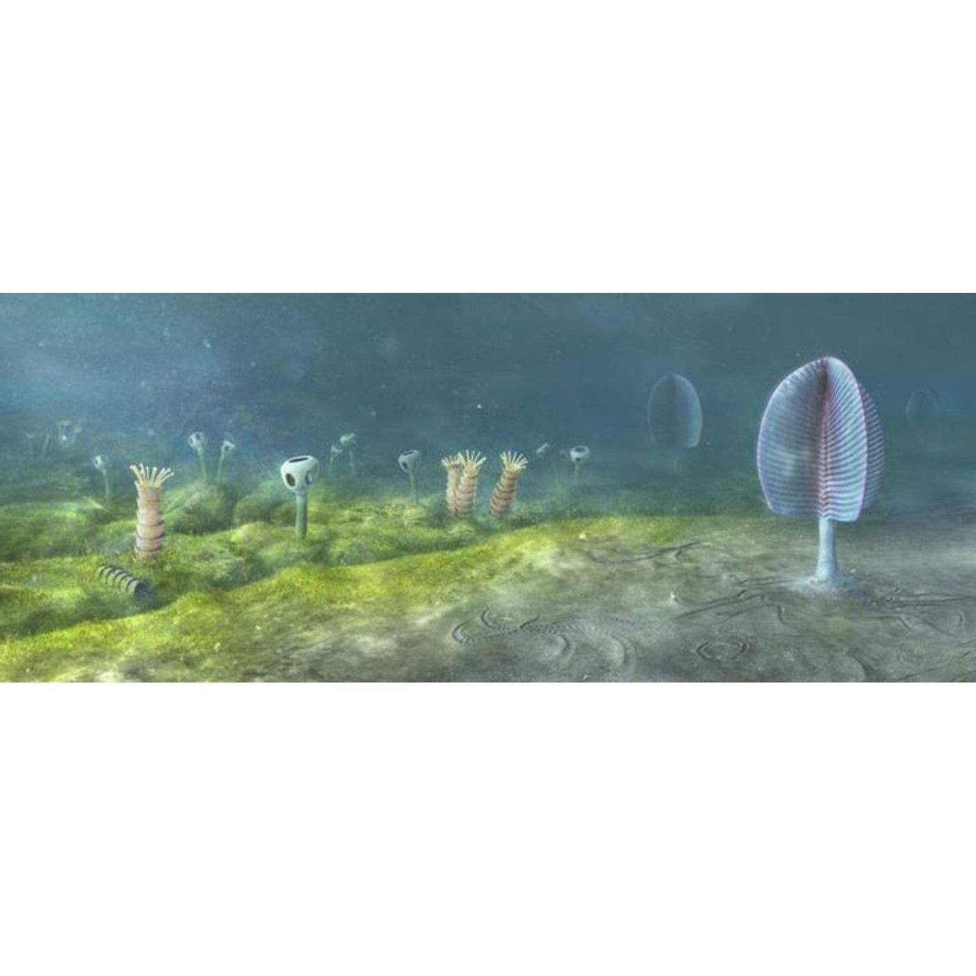 Animals May Have Evolved 200 Million Years Earlier Than Fossils Show | Ancient Origins