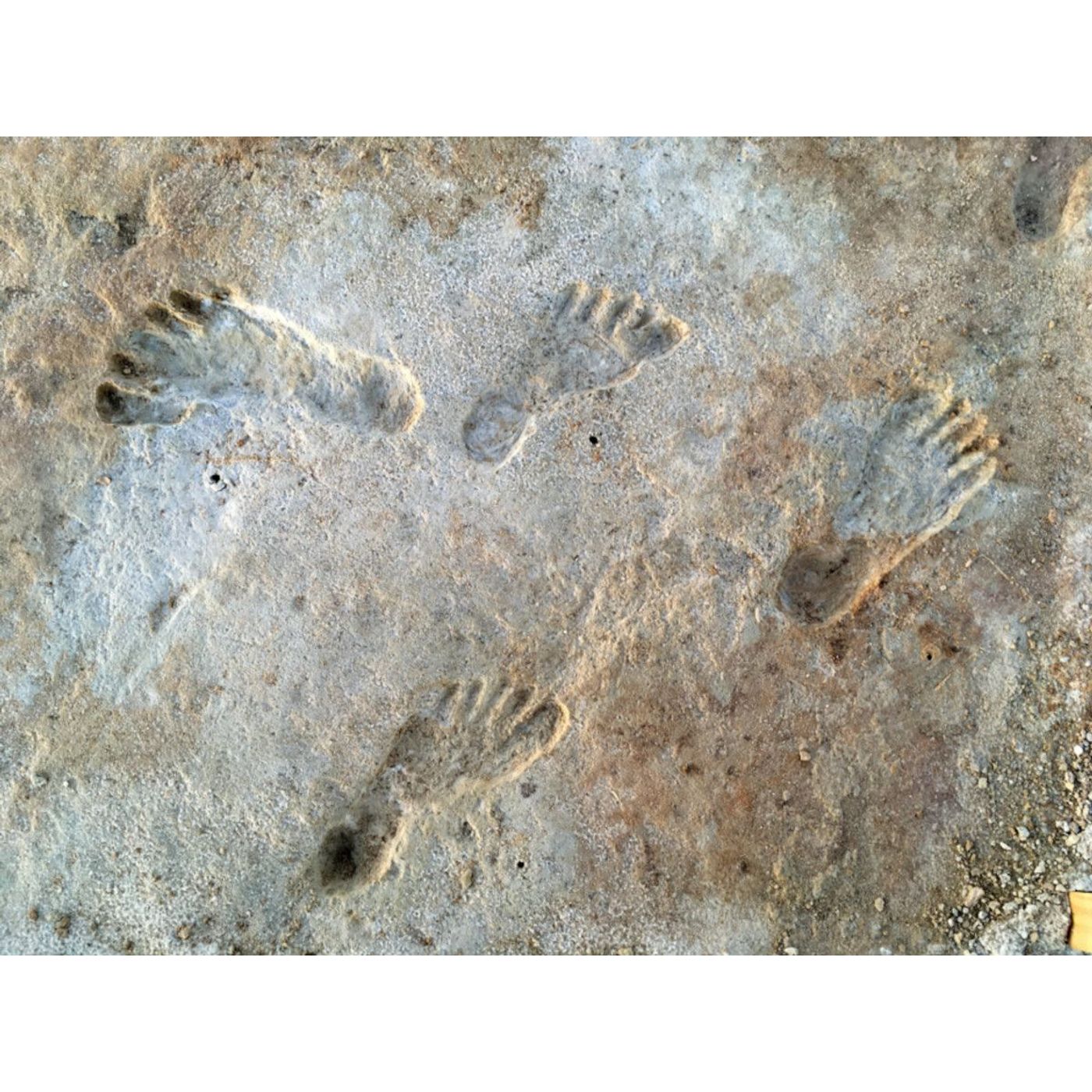 First Americans Arrived No Earlier Than 21,000 Years Ago, DNA Suggests | Ancient Origins