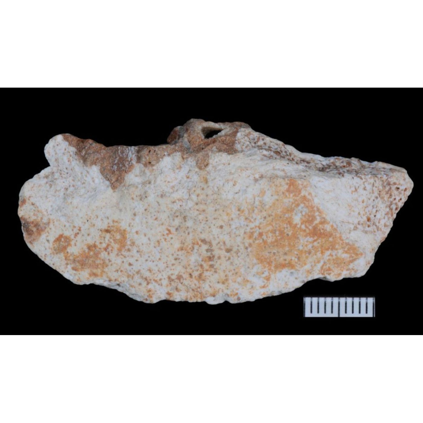 Fossils Reveal More on Denisovan Lives in Southwest China | Ancient Origins episode artwork