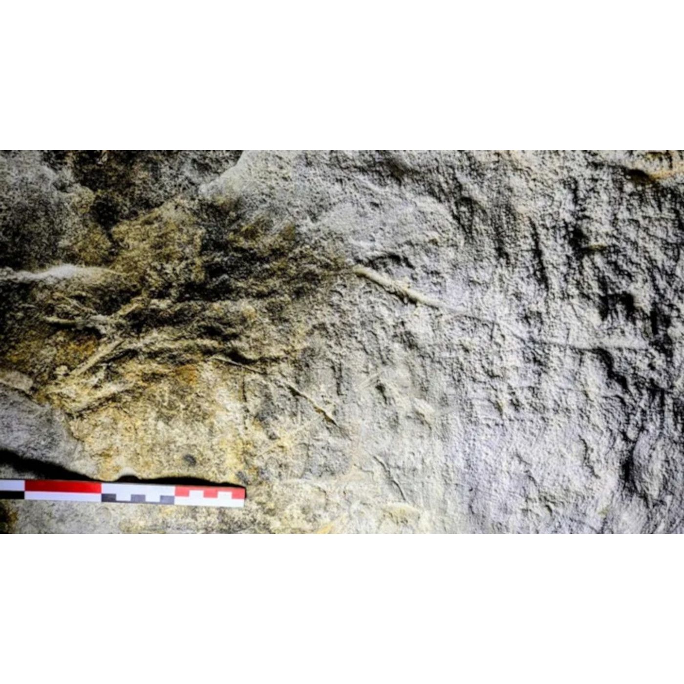 Irish Cave Art May Push Human Story Back to 15,000 Years | Ancient Origins episode artwork