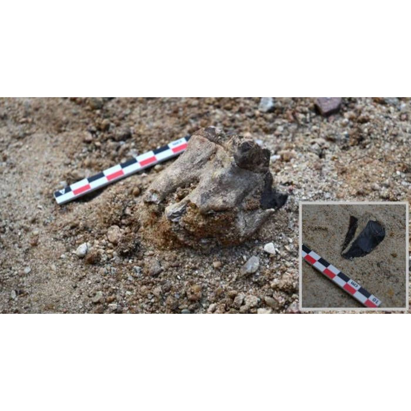 Neanderthal Workshop Reveals Advanced Tool Maintenance 70,000 Years Ago | Ancient Origins