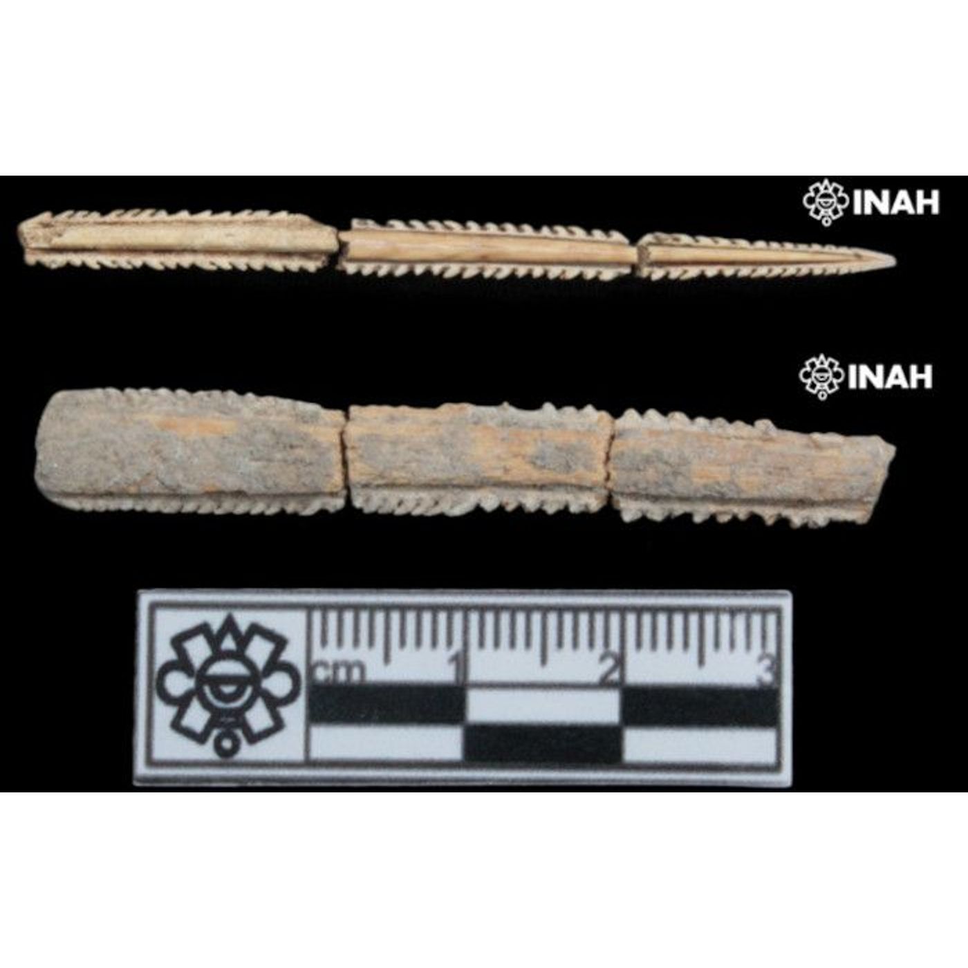 Ray Spines Point to Maya Bloodletting Rituals in Mexico | Ancient Origins