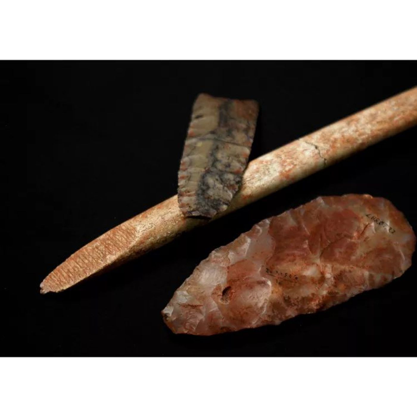 12,600-Year-Old DNA of Montana Baby Proves One Woman Mothered All Native Americans episode artwork