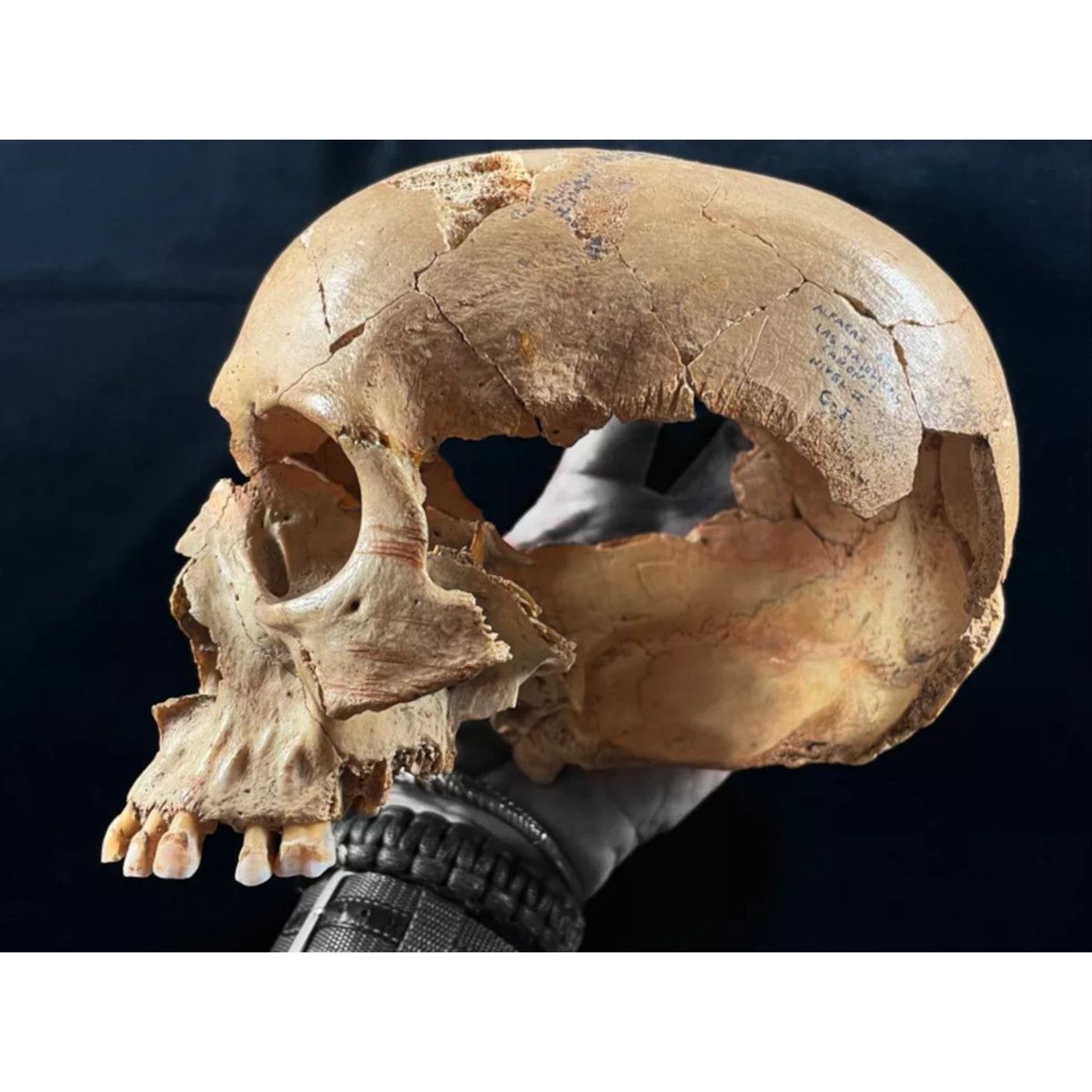 Many Faces of Cannibalism Evident in Neolithic Iberia | Ancient Origins episode artwork