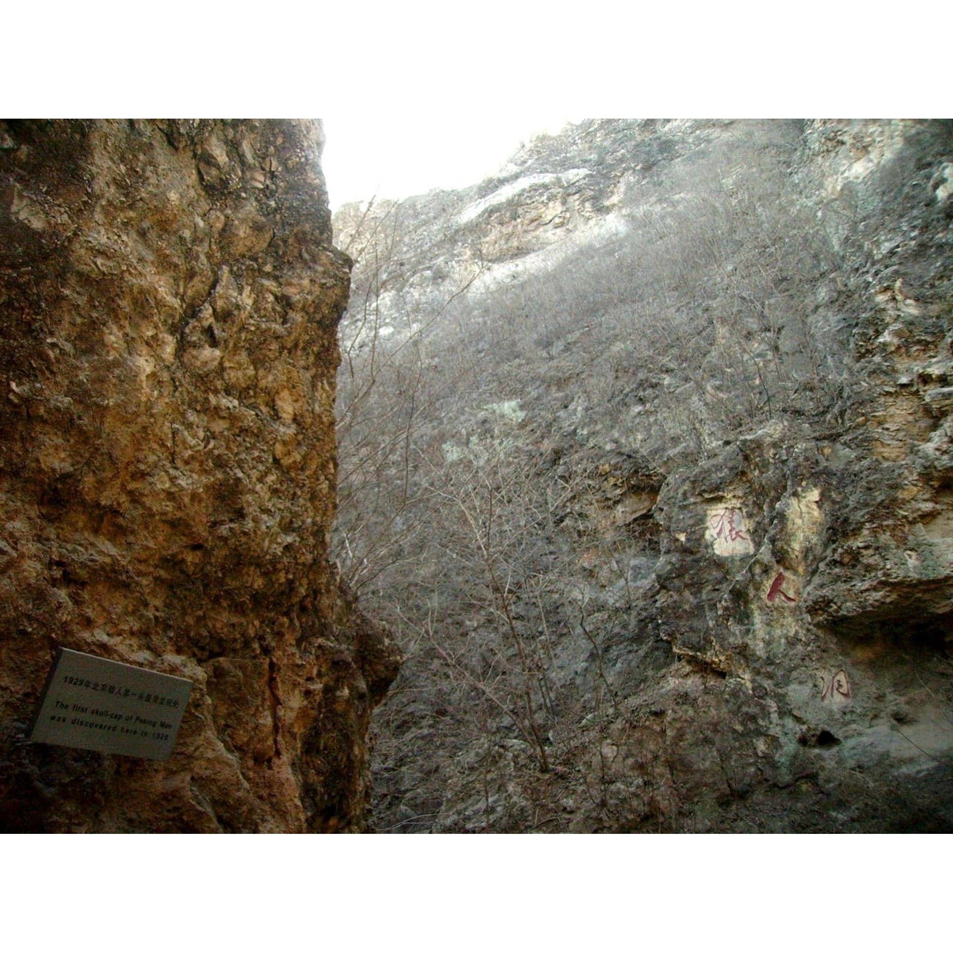 400,000-Year-Old Teeth Hint at Homo Erectus-Denisovan Tryst | Ancient Origins episode artwork