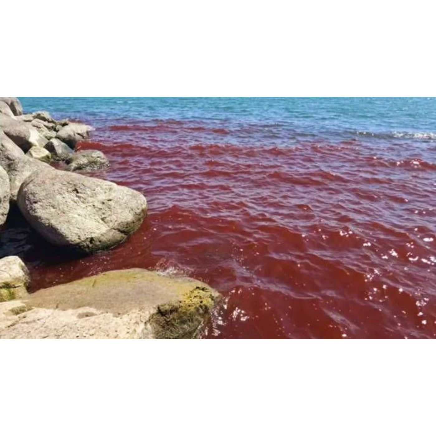 Sea of Galilee Turns Blood Red - Does it Explain the Biblical Plague? | Ancient Origins