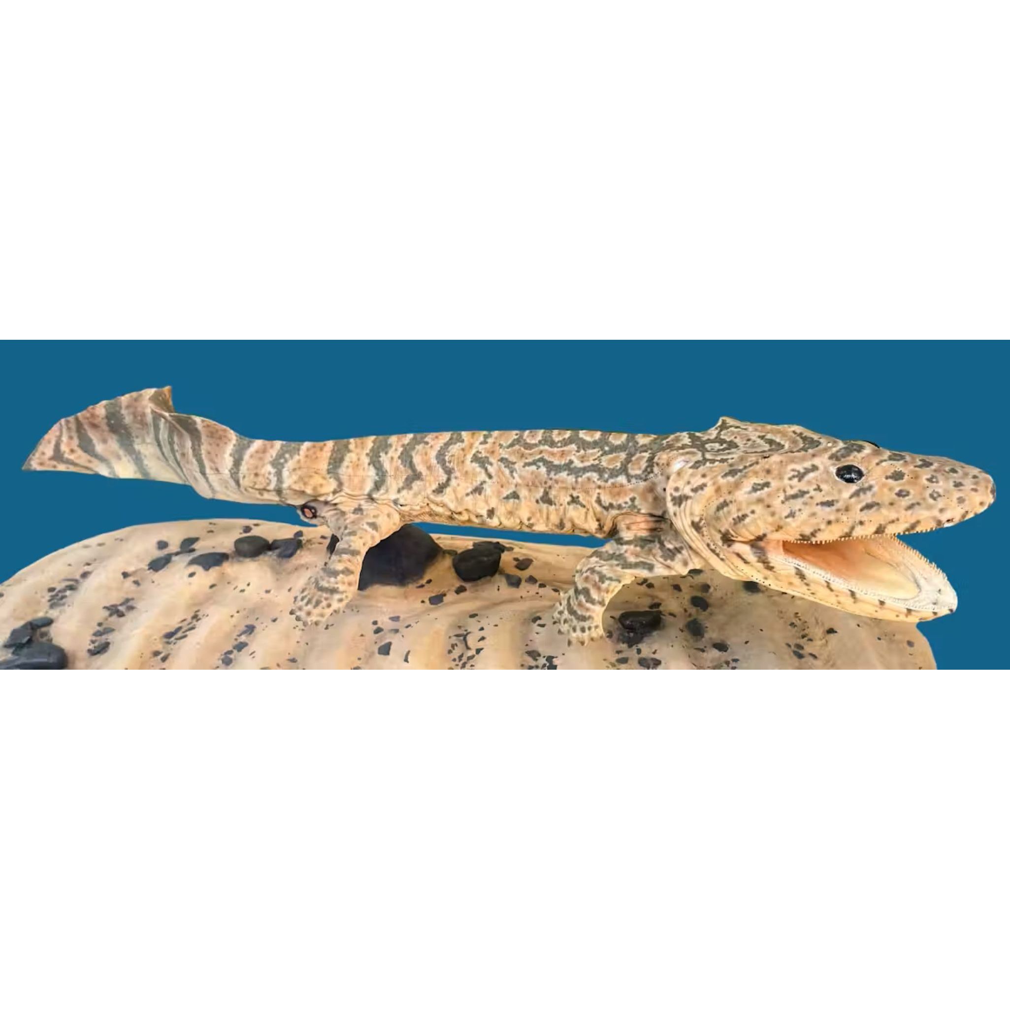 Ancient Origins: Reptiles Appeared 40 Million Years Earlier, Show Australian Fossils | Ancient Origins