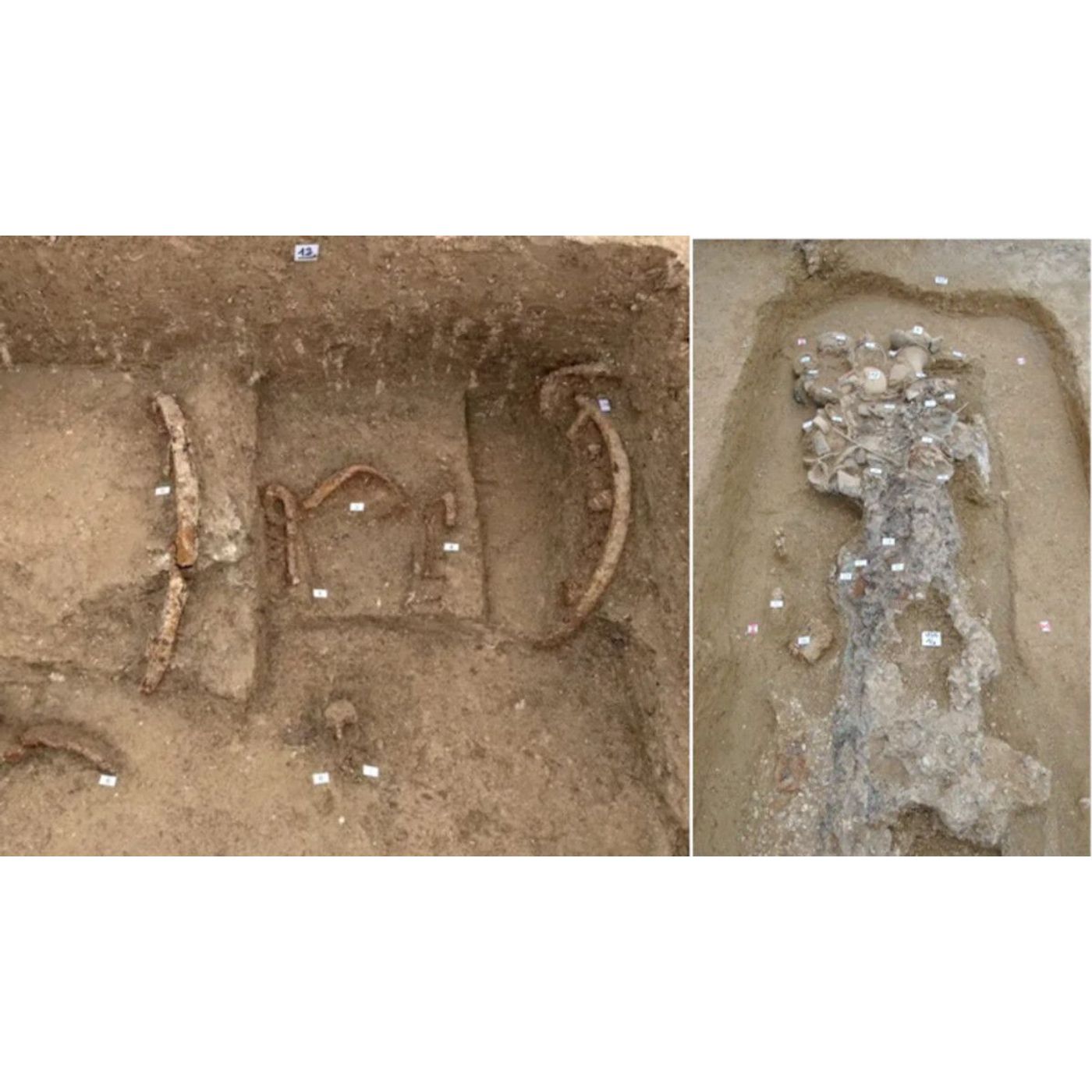 2,600-Year-Old Picene Prince’s Tomb with Chariot Found in Italy | Ancient Origins episode artwork