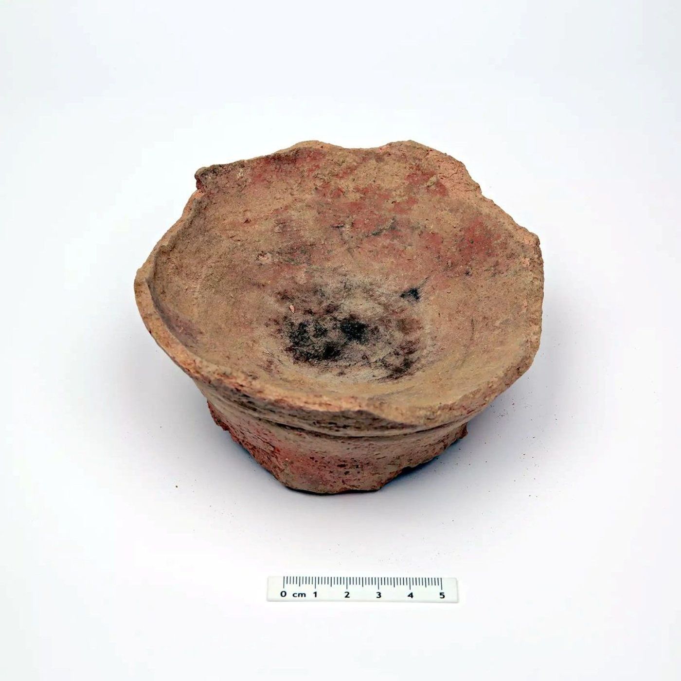 Earliest Documented Use of Psychoactive Plant 'Harmal' in Iron Age Arabia | Ancient Origins